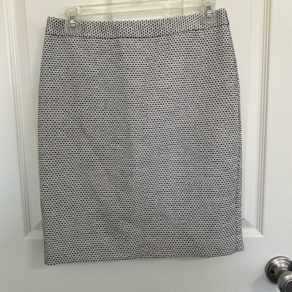 Ann Taylor Loft Skirt